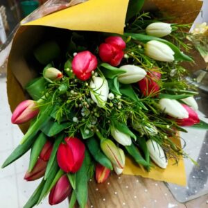 Ramo de Tulipanes variados ( Sólo en temporada)